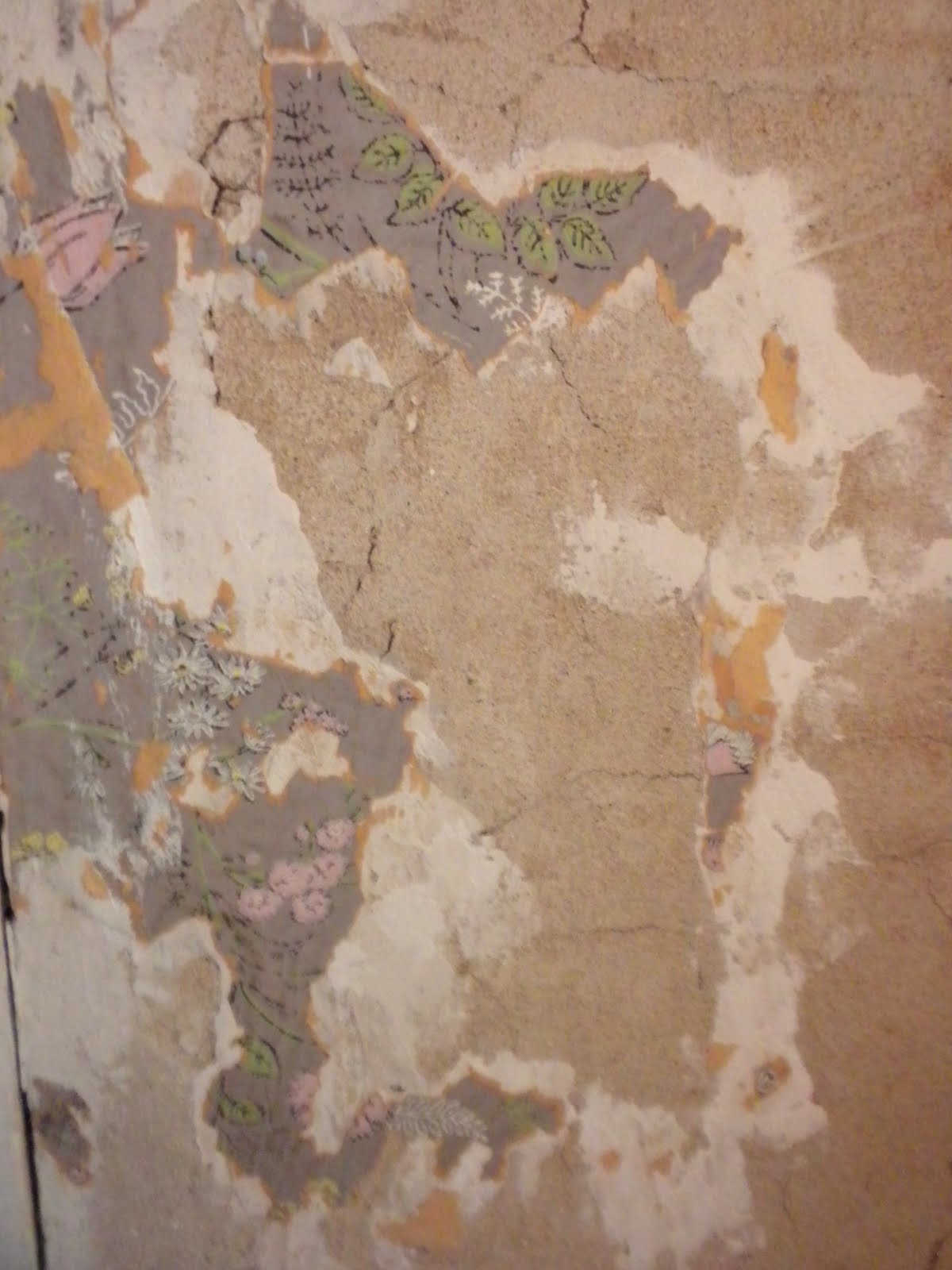 trololo blogg Wallpaper Over Plaster
