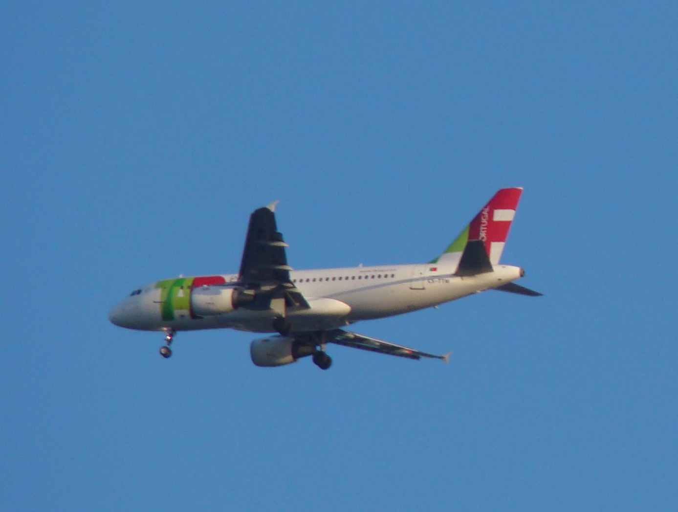 [DSC03558.JPG]
