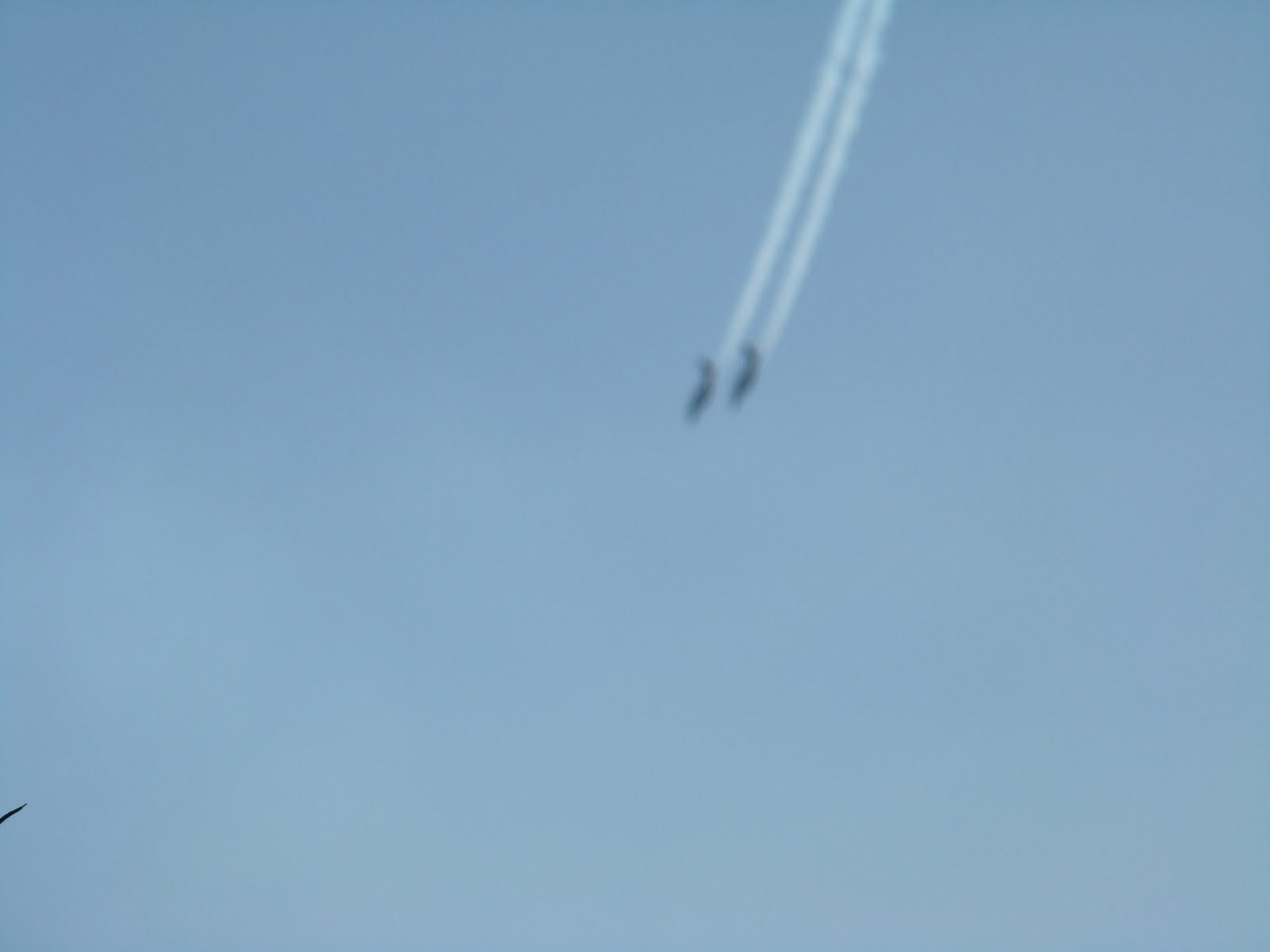 [DSC04953.JPG]