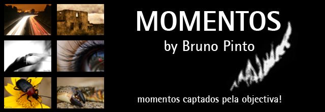Bruno Pinto - Momentos