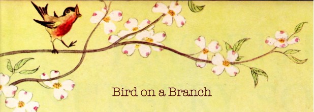 Bird on a Branch