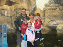 A Day at the Shedd