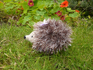 Yellow, Pink and Sparkly: Heidi Hedgehog