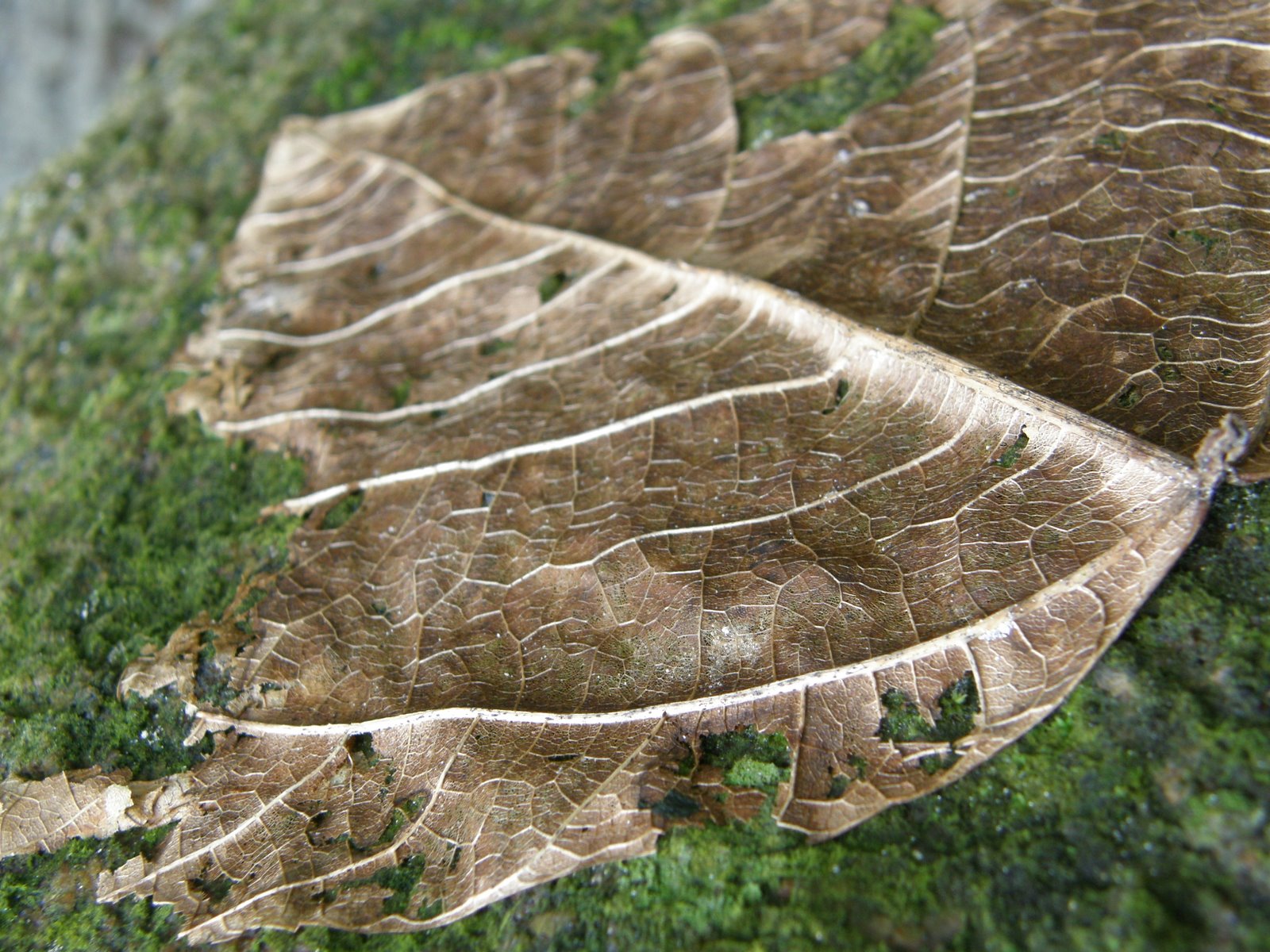 [P5020024.JPG]