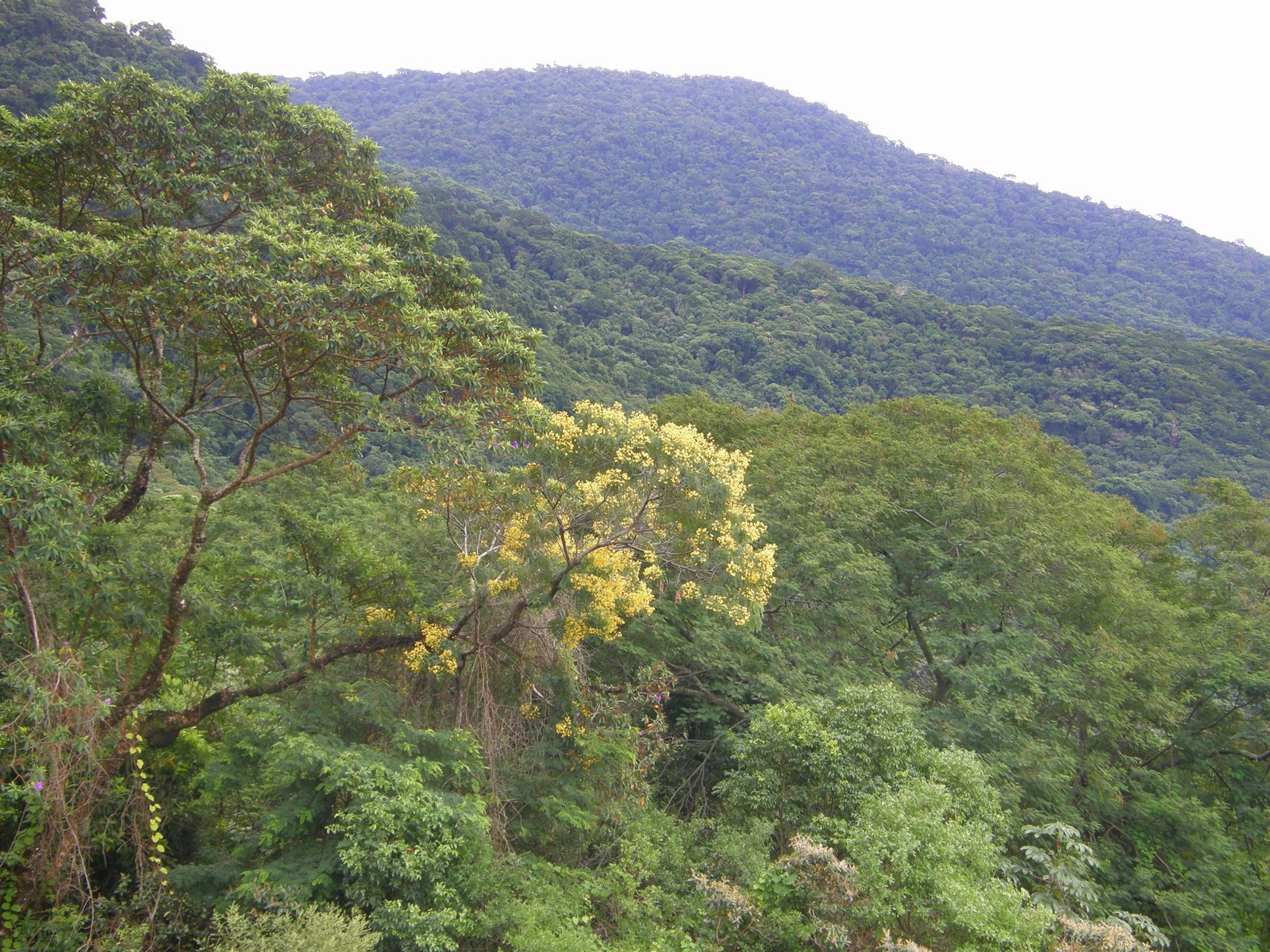 [P5020185.JPG]