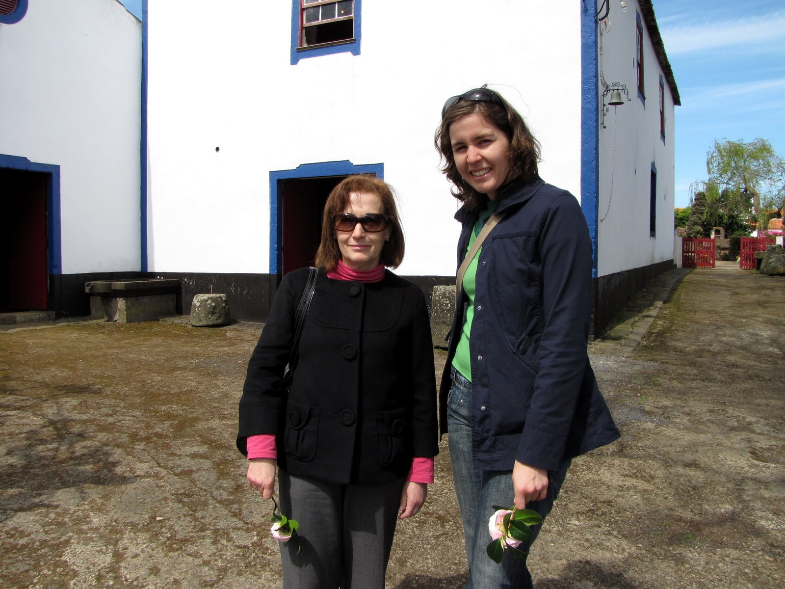 [PROF_DOUTORACELESTE_LINO.JPG]