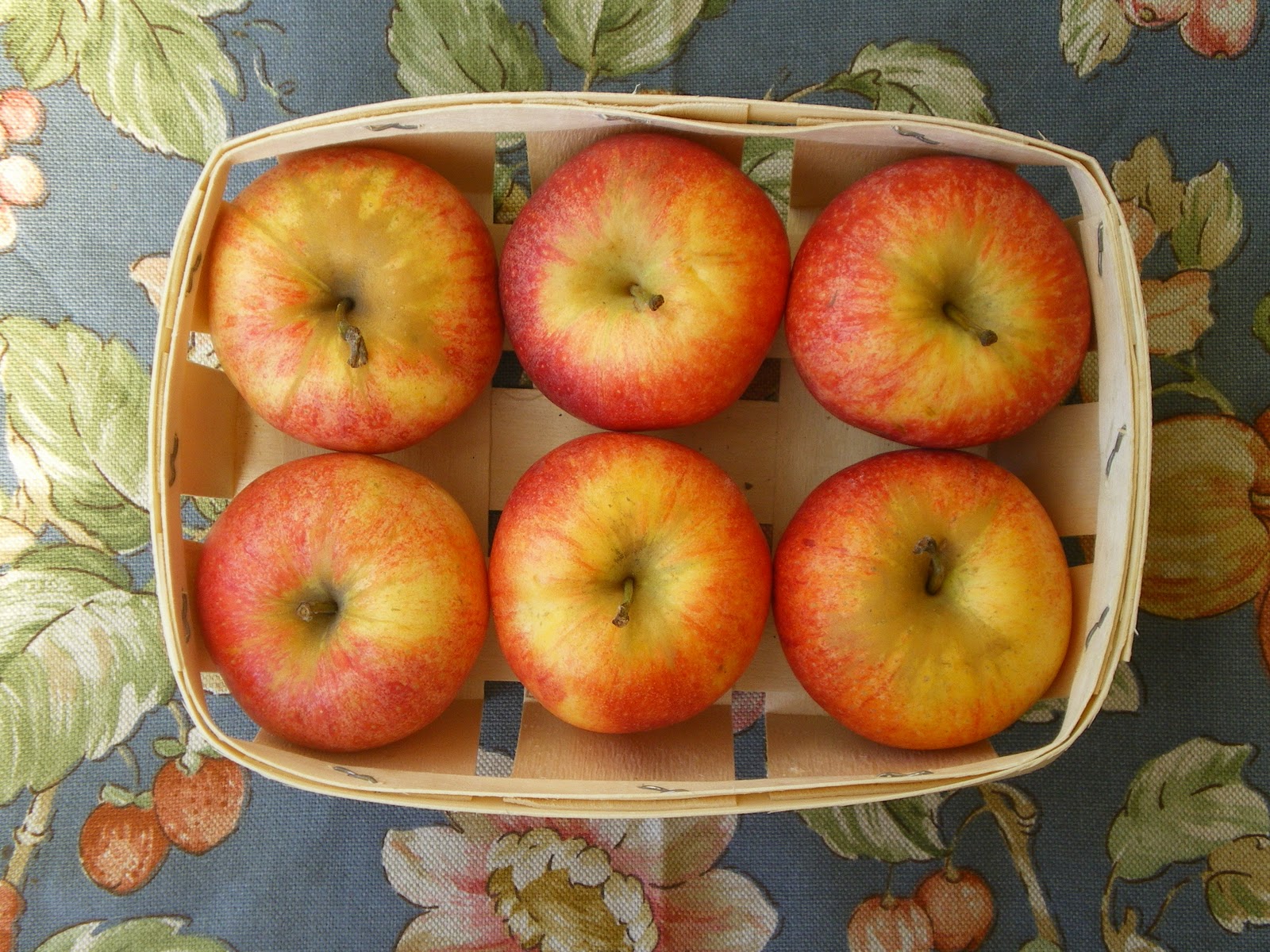 Shelly's Kitchen Tarte aux Pommes French Apple Pie