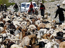 HORA PUNTA EN LA PAMIR