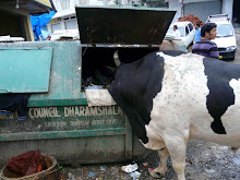 INDIAN FAST FOOD