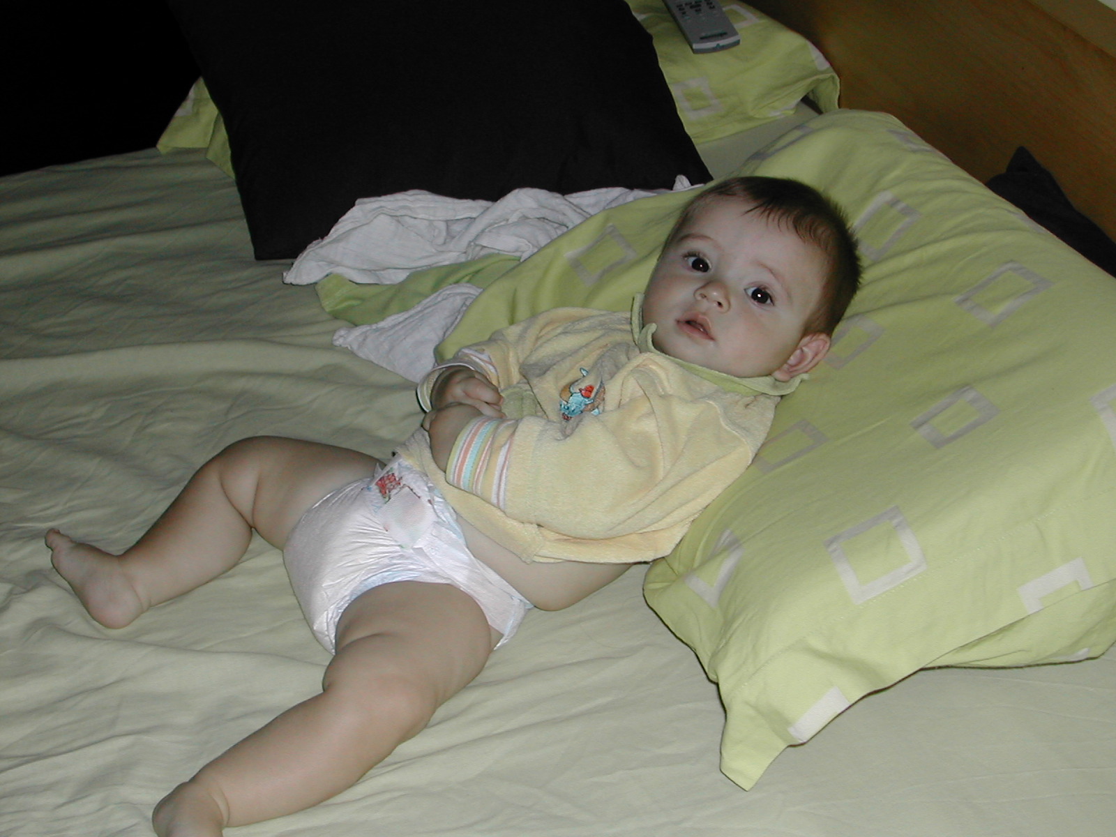 [DSCN6643.JPG]