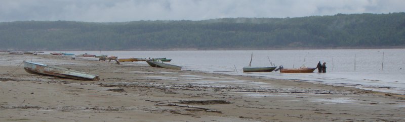 [DSC00939.JPG]