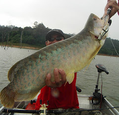 Asia Green Arowana