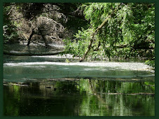 Rettet und erhaltet die DONAU-AUEN