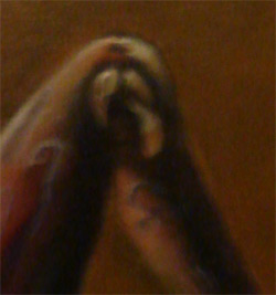 [glimpse-mars-jan-08.jpg]