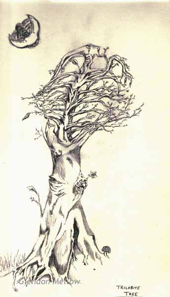 [Trilobite-Tree-web.jpg]