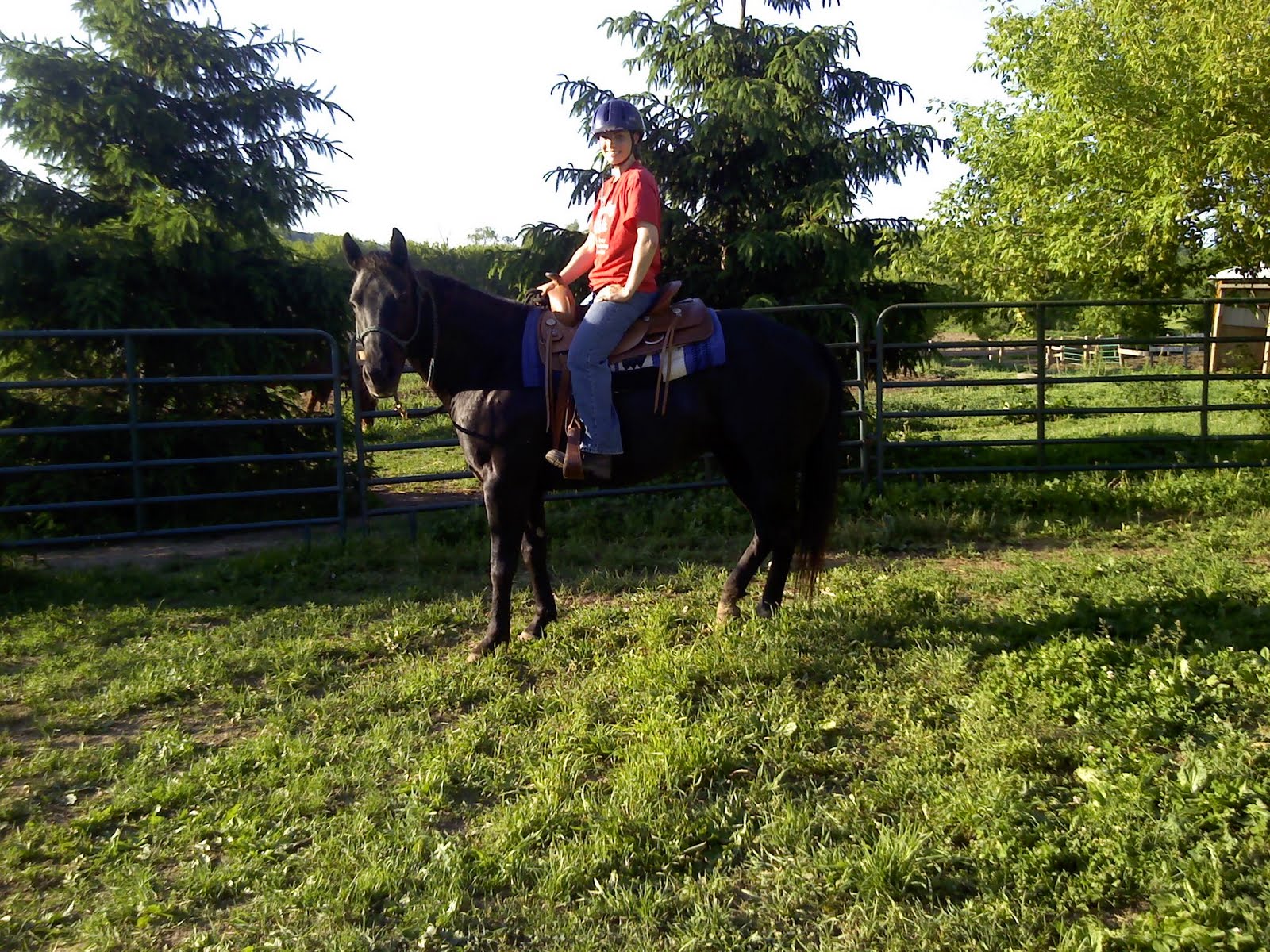 Second Chance Horse Rescue Ranch My last baby!