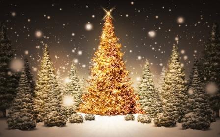arboles_de_navidad.jpg