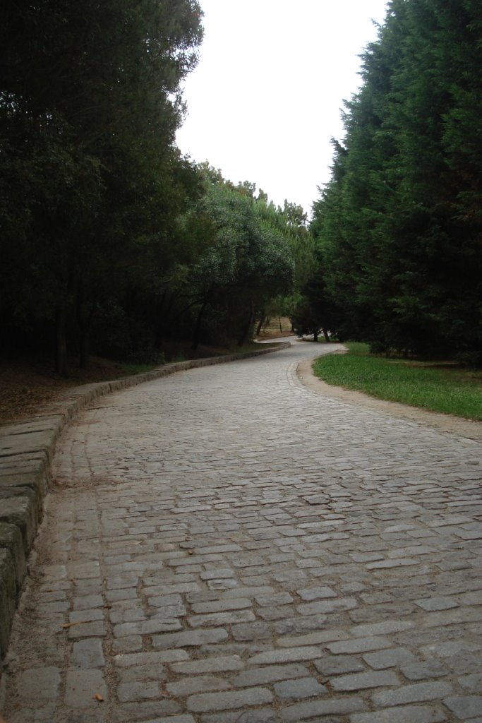[caminho.JPG]