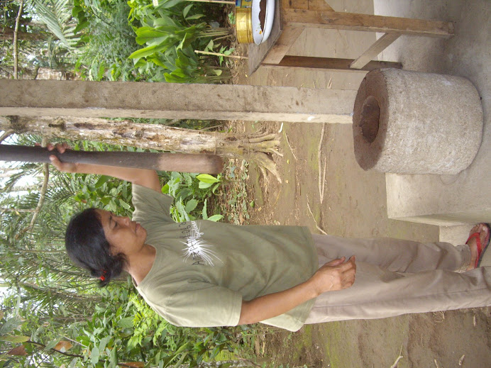 DEMONSTRATION FARM--KOPI TUBRUK.  TRADITIONAL BALINESE COFFEE MAKING AND PROCESSING TECHNIQUE