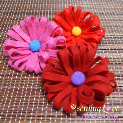 Gerber+daisy+flower+pictures
