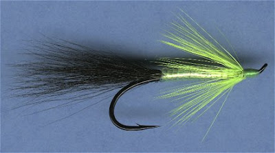 Dean River Steelhead
