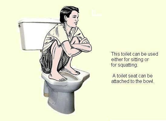 Pedestal-squat-toilet.jpg