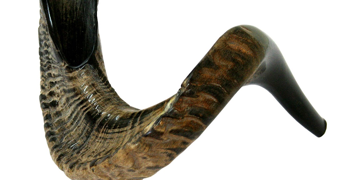 LES SYMBOLES SHOFAR