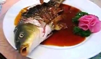 [peixe.jpg]
