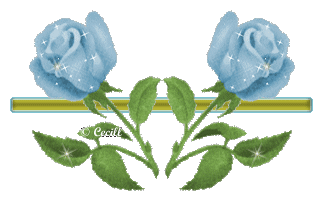 [BarraRosasCTV_11a.gif]