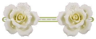 http://2.bp.blogspot.com/_A1R0_mW0lNU/SkZcuEl1CxI/AAAAAAAACUY/-zNaBFEV7Bc/s1600/BarraRosasCTV_20a.gif