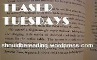 Teaser Tuesday:  Wondrous Strange