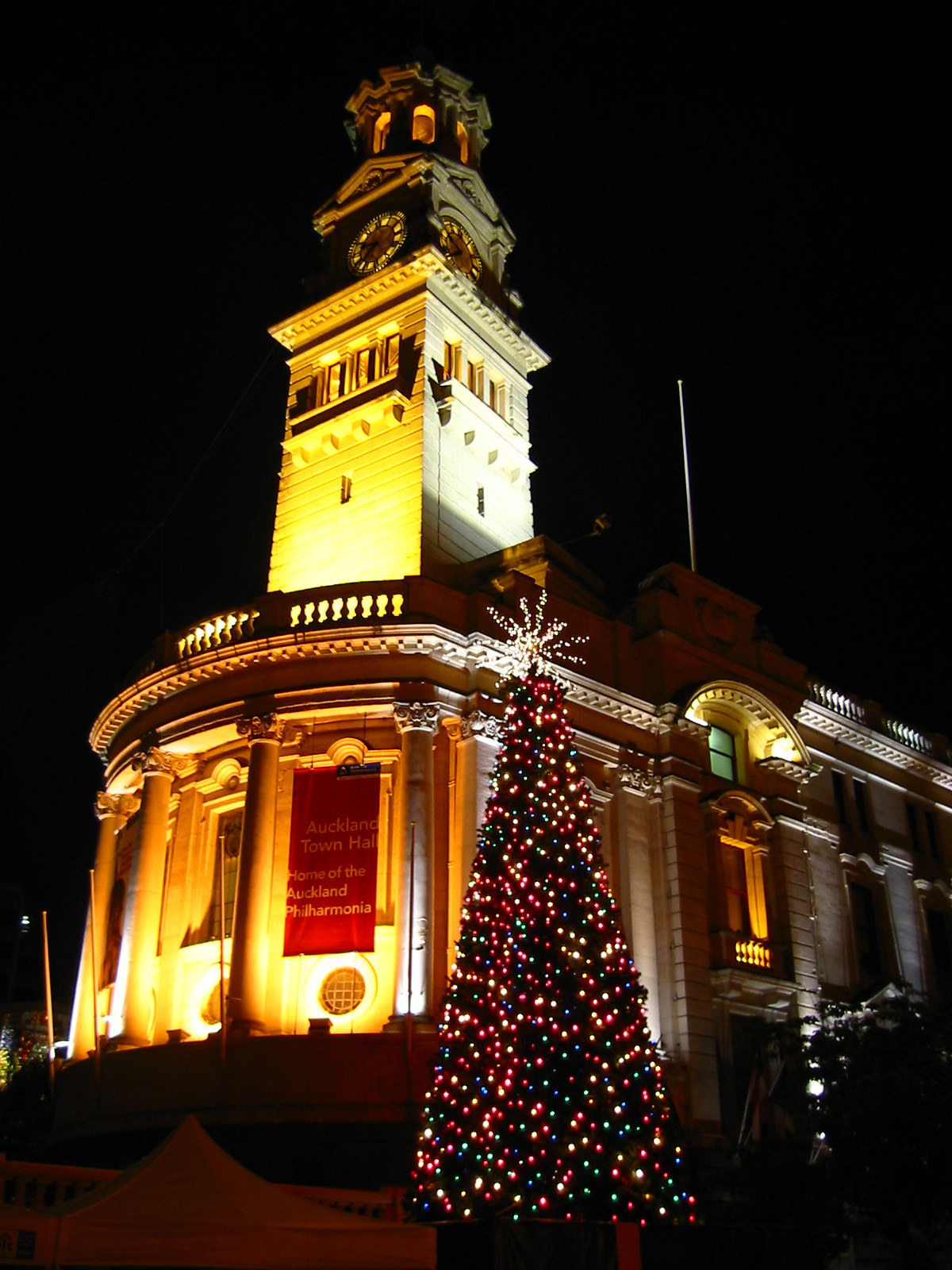 Christmas zealand Sapere aude