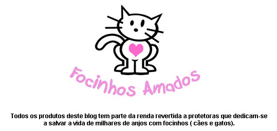 FOCINHOS AMADOS