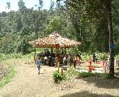 [kamojang_1.jpg]