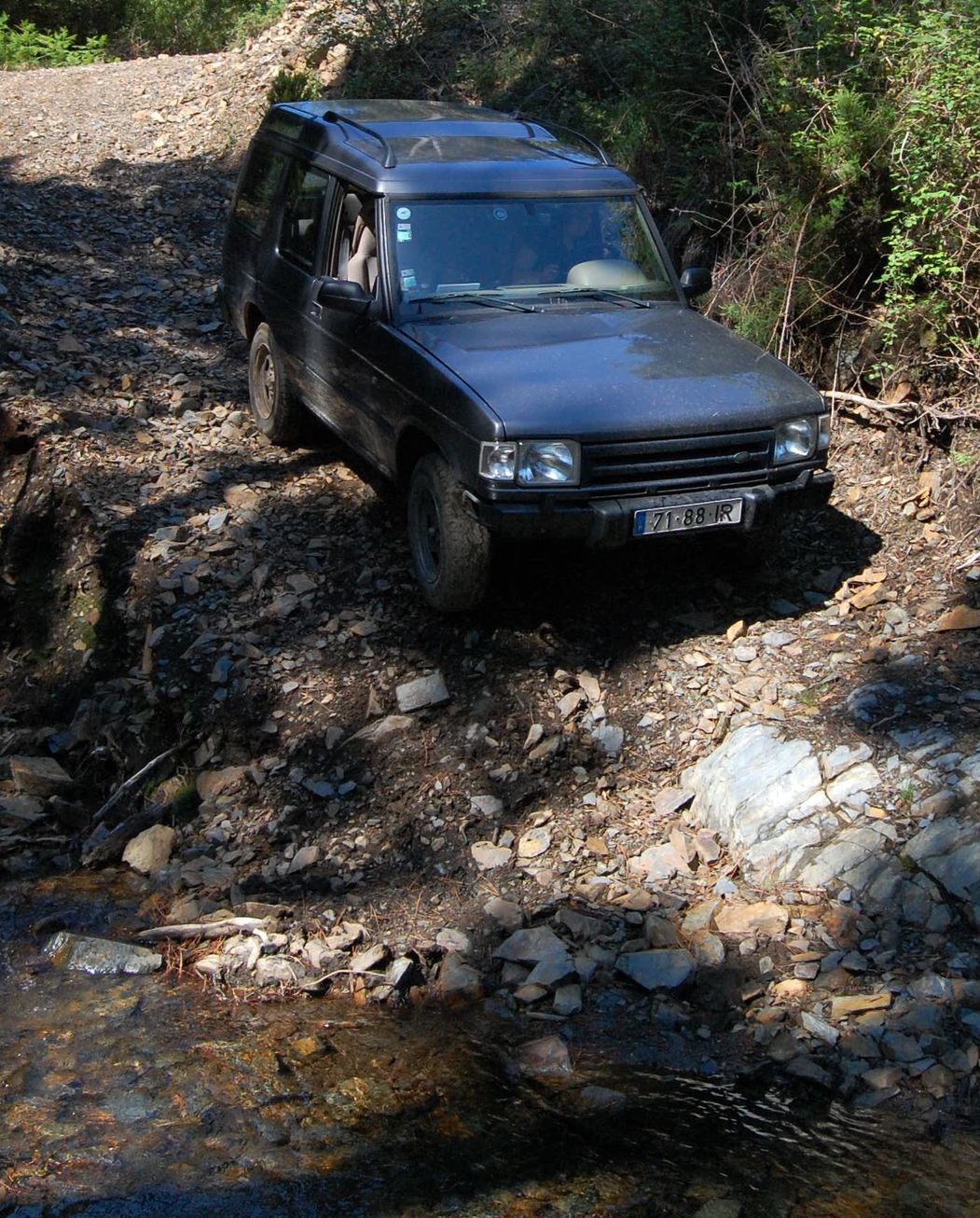 [DSC_2937.JPG]