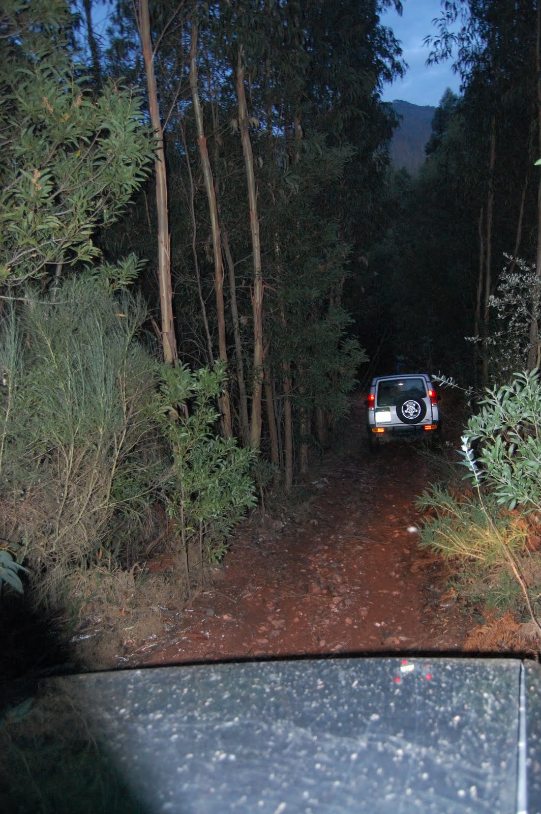 [DSC_6249.JPG]