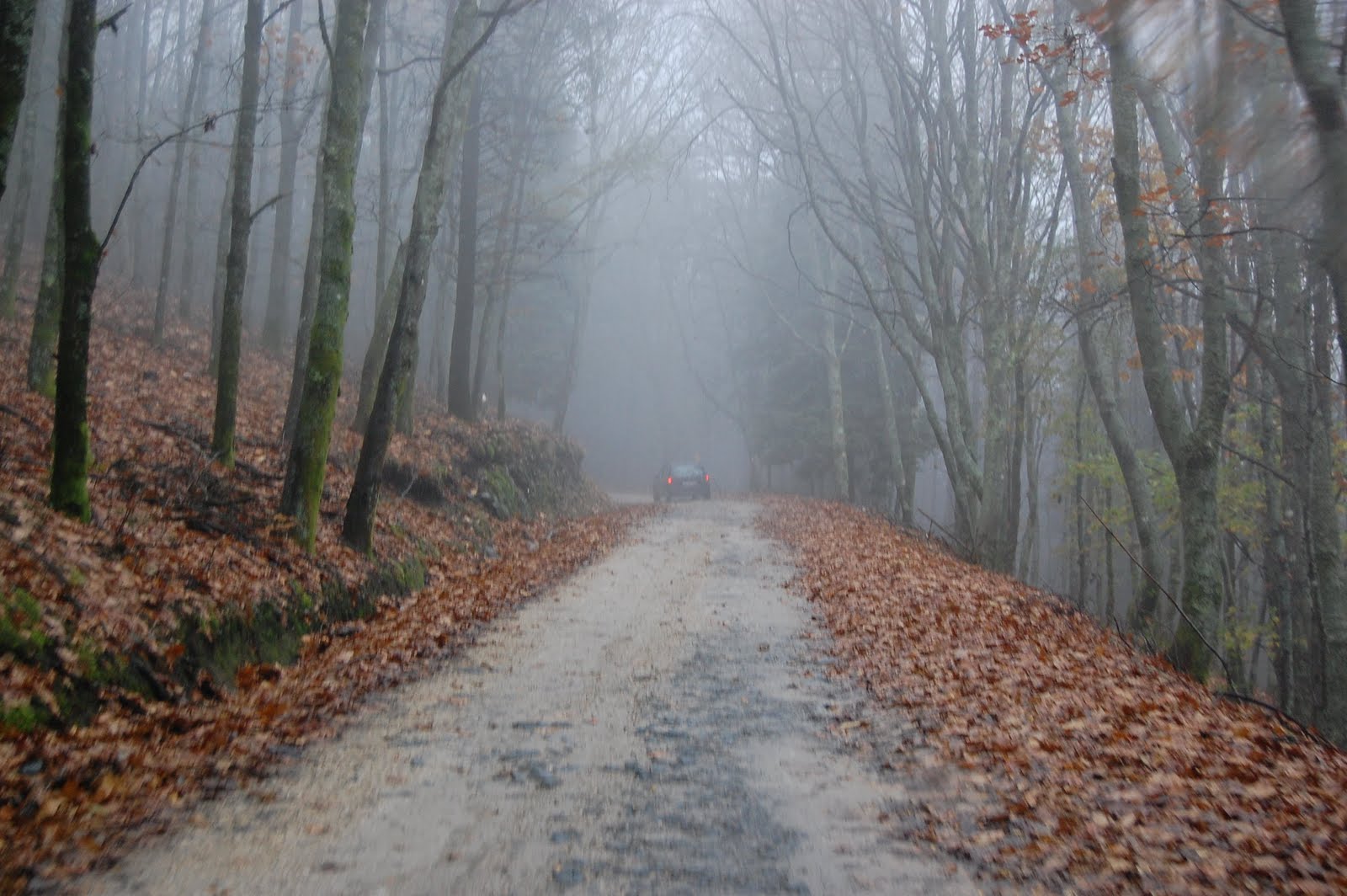 [DSC_6448.JPG]