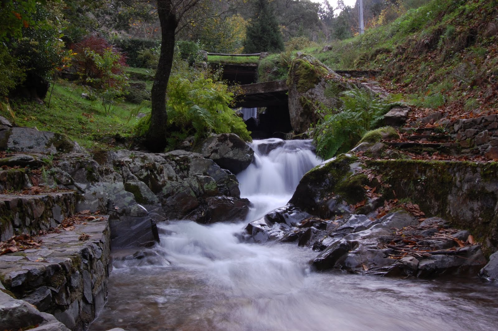 [DSC_6346.JPG]