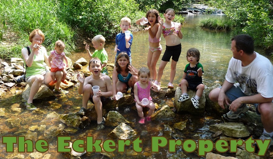 Eckert Property