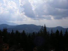 viziune