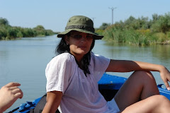 In sfarsit in delta