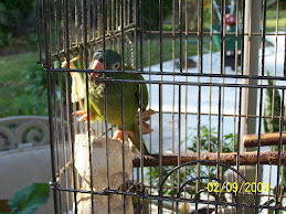 Duke of Earl's House