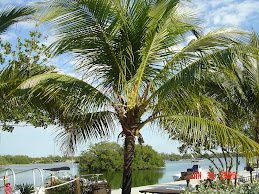 Day 5- Key West