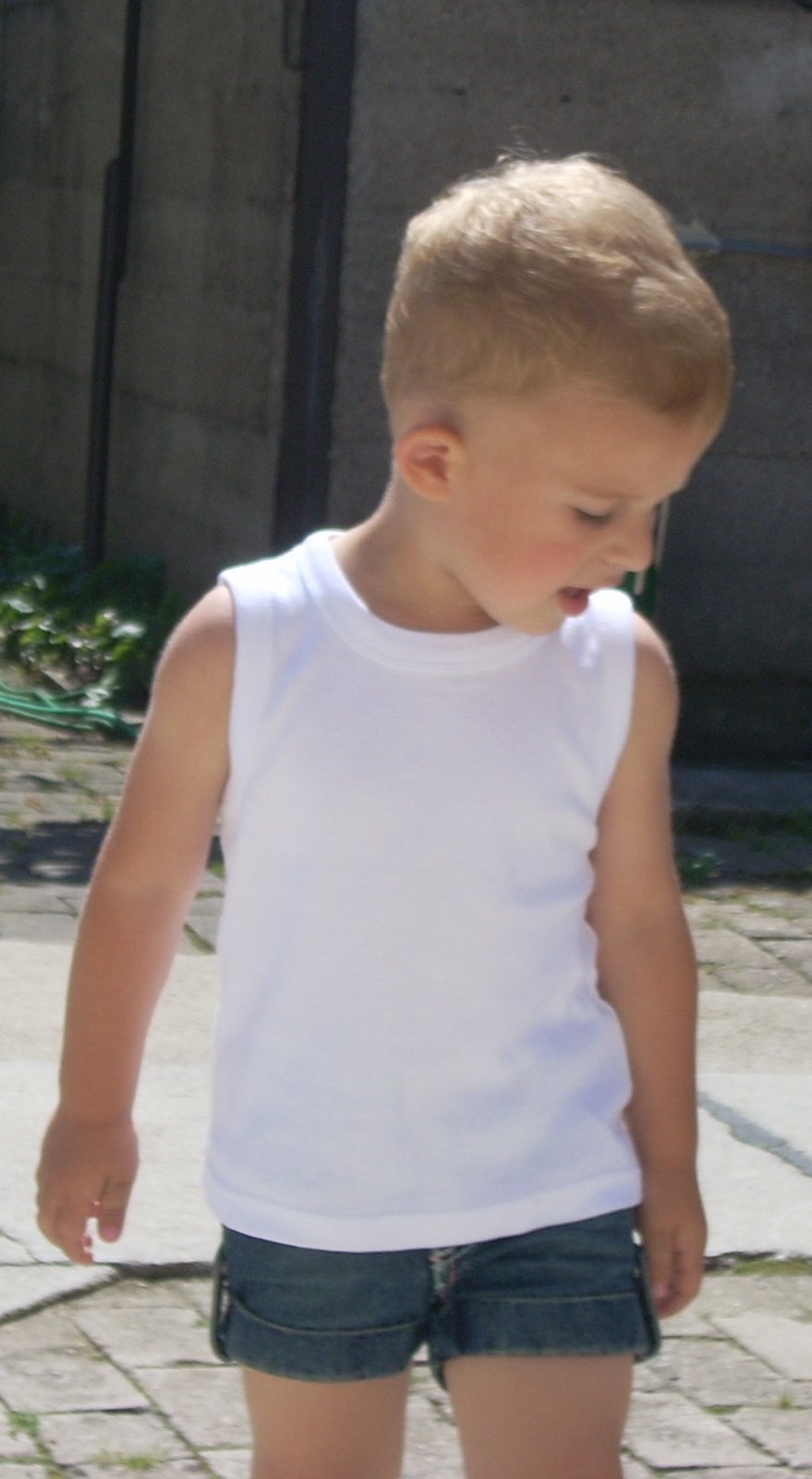 [Picture+076-v-3.jpg]