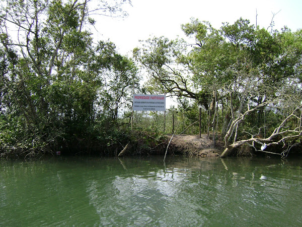 EMBRAPORT roubou terra dos moradores da Ilha Diana