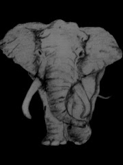 Elephant I drew