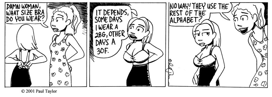 bra fitting experience.