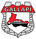 Gallapi