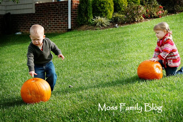 Moss Family Blog