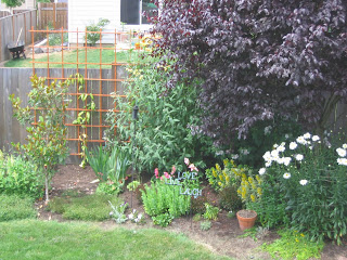 Food and Garden Dailies: Garden Arch and Trellis